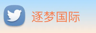 逐梦国际 Logo